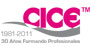 CICE Masters División Comunicaciones